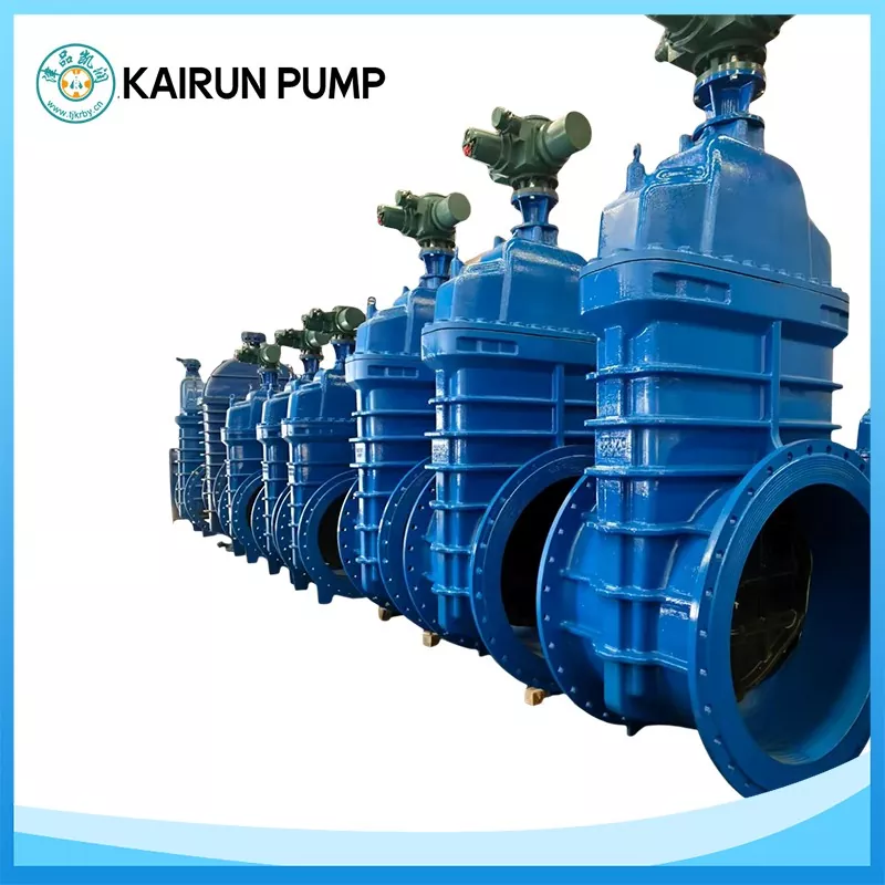 Gate Valve