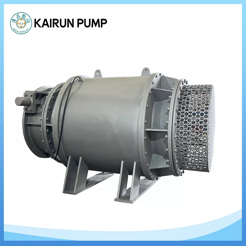 Bi-directional Axial Flow Pump