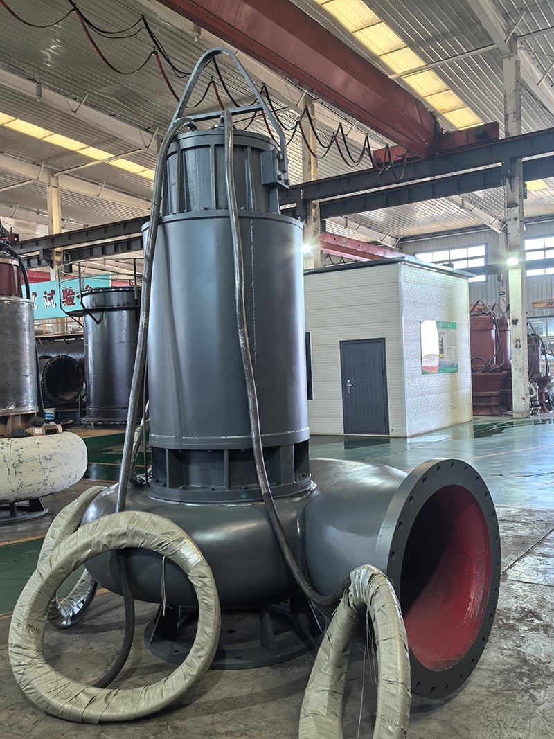 Submersible Sewage Pump