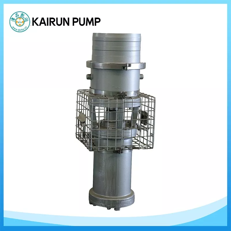 Permanent Magnet Submersible Axial Flow Pump